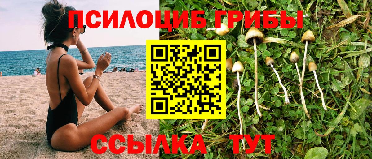 Псилоцибиновые грибы прущие грибы  Вход с VPN  Чапаевск 